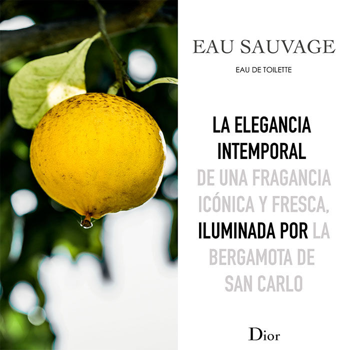 EAU SAUVAGE  100ml-85649 1