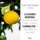 EAU SAUVAGE  100ml-85649 1