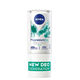 Magnesiumdry Fresh Roll-On  50ml-198759 4