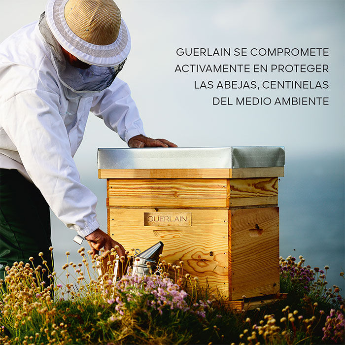 Abeille Royale Acondicionador Desenredante Reparador y Redensificante  290ml-222039 7