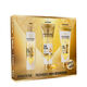 Bond Repair Estuche  1ud.-225912 1