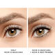 Noir G Bee Primer   2