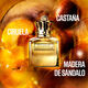 SCANDAL POUR HOMME ABSOLU  100ml-221415 2
