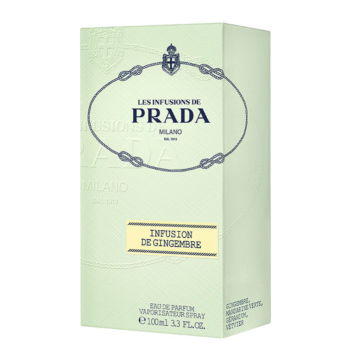 Infusion de Gimgembre  100ml-218057 1