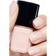 LE VERNIS   3