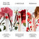 FLOWER BY KENZO Ikebana  40ml-212037 7