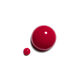LE VERNIS   1