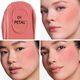 DIOR FOREVER BLUSH SOFT FILTER   2