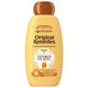 Tesoros de Miel Champú Reconstituyente  600ml-192156 0