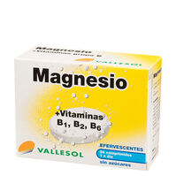 Magnesio + Vitaminas B  1ud.-199253 1