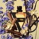 BORN IN ROMA YELLOW DREAM UOMO  100ml-196129 2