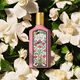 FLORA GORGEOUS GARDENIA  100ml-203299 2
