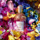 Aqua Allegoria Florabloom  75ml-218555 1