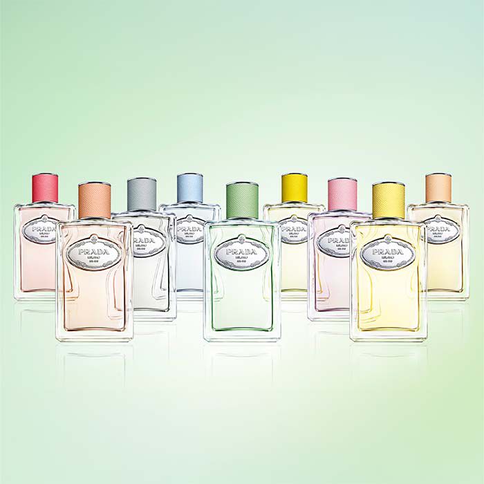 Infusion de Santal Chai  100ml-237082 4