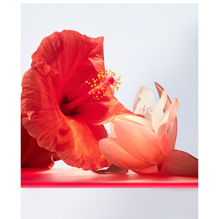 Omnia Coral  100ml-214362 4
