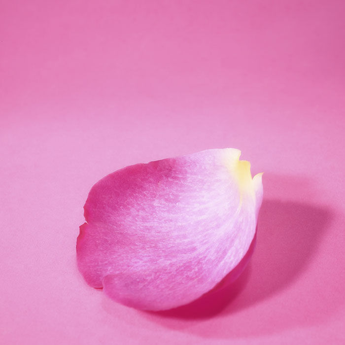 CANDY LOVE "Edici&oacute;n Limitada"  100ml-192800 2