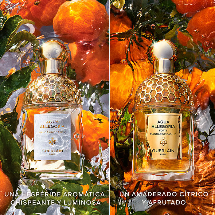 Aqua Allegoria Mandarine Basilic Forte  75ml-206762 4