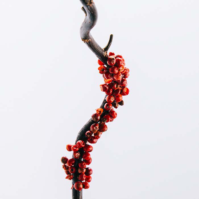 7 Cofre  100ml-230636 2