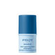 Source Stick Regard Hydratant Adaptogène  4,5gr-211253 0