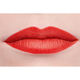 ROUGE ALLURE VELVET   4