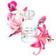 ANAÏS ANAÏS  100ml-62807 1