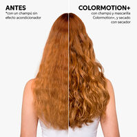 ColorMotion+ Shampoo  250ml-214493 3
