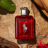 POLO RED EDP  125ml-195081 2