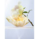 Omnia Crystalline  30ml-214358 4