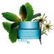 Hydra-Essentiel [HA&sup2;] Crema de D&iacute;a SPF15  50ml-209132 2