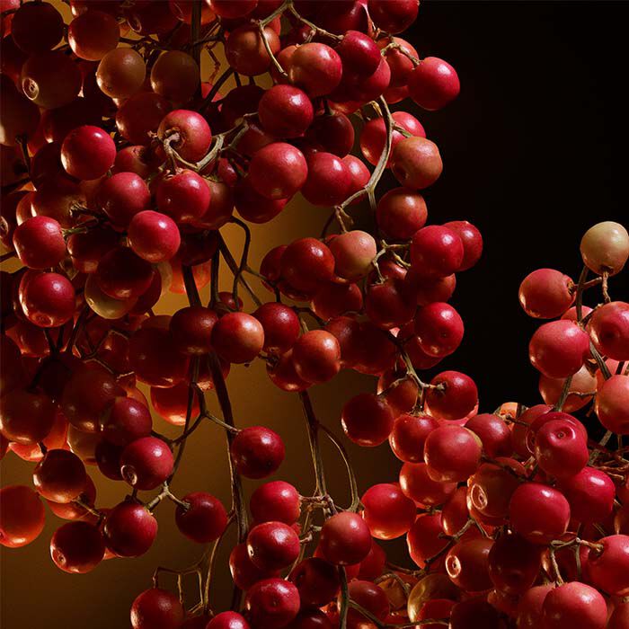 THE ONE INTENSE  75ml-233420 3