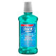 Complete Enjuague Bucal Frescura Duradera  500ml-176884 1