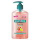 Jabón de Manos Cocina  250ml-191128 0
