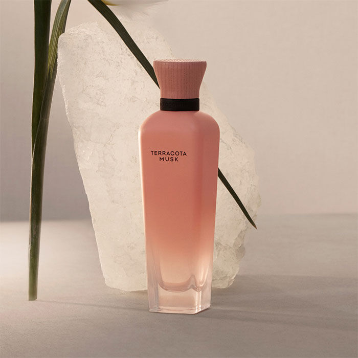 Terracota Musk  60ml-200630 2