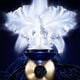 Orchidée Impériale La Crema  50ml-202920 2