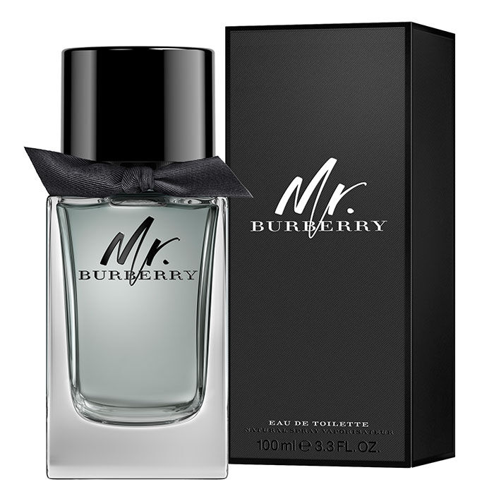 Mr burberry edt 100ml sale