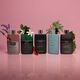GUILTY LOVE POUR HOMME  90ml-227585 3