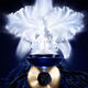 Orchidée Impériale La Crema Ligera  50ml-202924 2