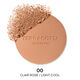 Terracotta Polvo Bronceador Original   1