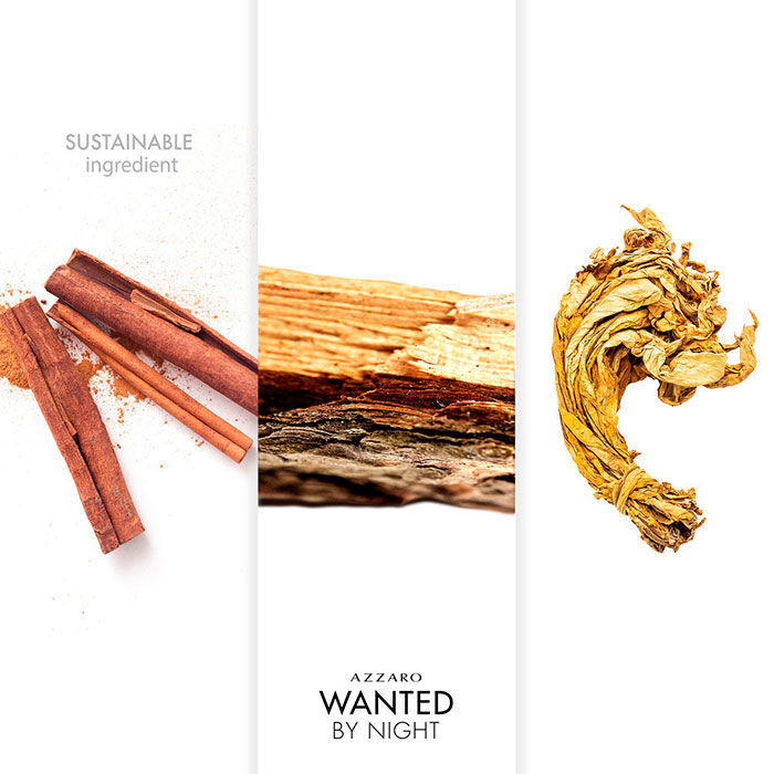 Wanted by Night  100ml-171220 2