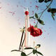 FLOWER BY KENZO L'Absolue  50ml-205775 2
