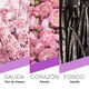 Tokyo  100ml-225882 3