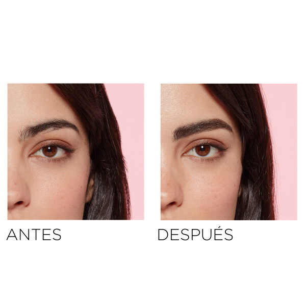 Plump & Set Brow Artist   1