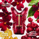 La Bomba Intensa  50ml-241017 2