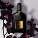 Black Orchid  100ml-150596 1