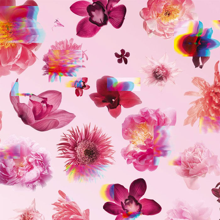 Flowerbomb  50ml-87095 3