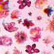Flowerbomb  50ml-87095 3