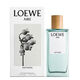 AIRE ANTHESIS  100ml-211096 1