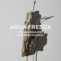 Agua Fresca  120ml 2