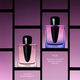 GINZA NIGHT  50ml-219156 3