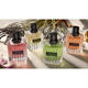 BORN IN ROMA DONNA CORAL FANTASY  100ml-202707 6